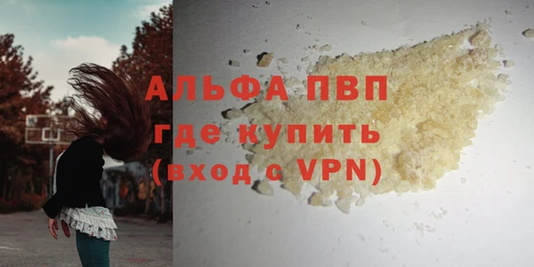 крисы Абаза
