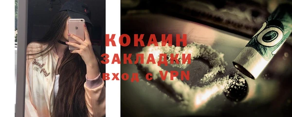 крисы Абаза