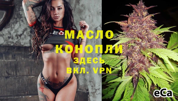 крисы Абаза