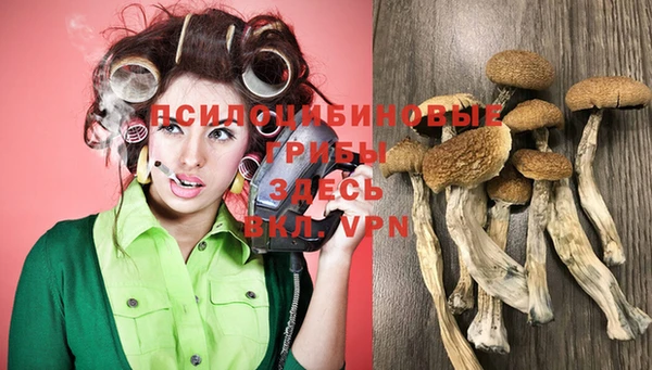 шишки Алзамай