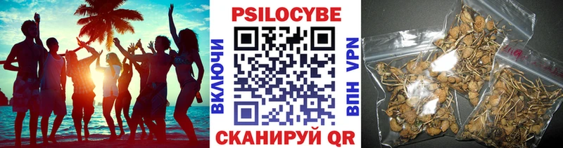 даркнет сайт  Игарка  Галлюциногенные грибы Psilocybe 